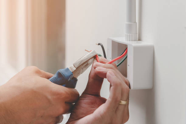 Best Surge Protection Installation  in Fruit Cove, FL